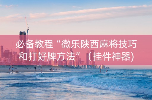 必备教程“微乐陕西麻将技巧和打好牌方法”（挂件神器)