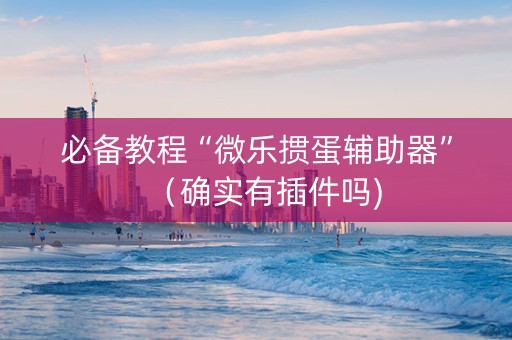 必备教程“微乐掼蛋辅助器”（确实有插件吗)