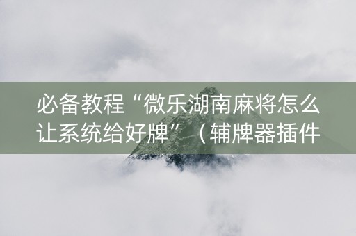必备教程“微乐湖南麻将怎么让系统给好牌”（辅牌器插件购买)
