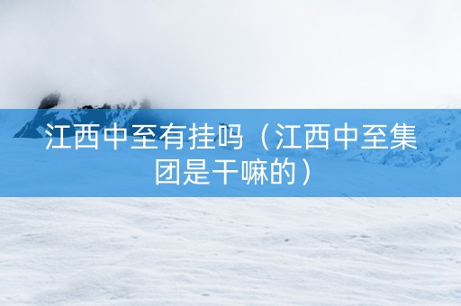 江西中至有挂吗（江西中至集团是干嘛的）
