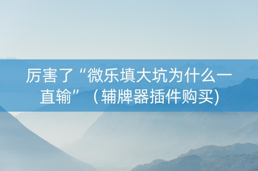 厉害了“微乐填大坑为什么一直输”（辅牌器插件购买)