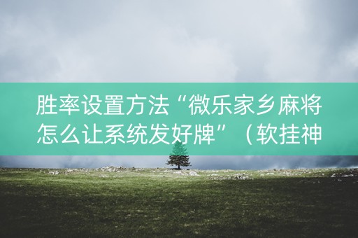 胜率设置方法“微乐家乡麻将怎么让系统发好牌”（软挂神器)