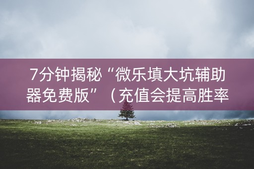 7分钟揭秘“微乐填大坑辅助器免费版”（充值会提高胜率么)