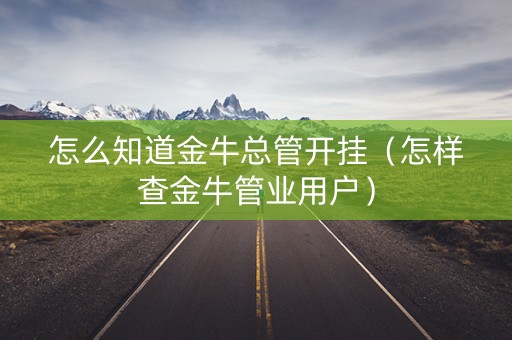 怎么知道金牛总管开挂（怎样查金牛管业用户）