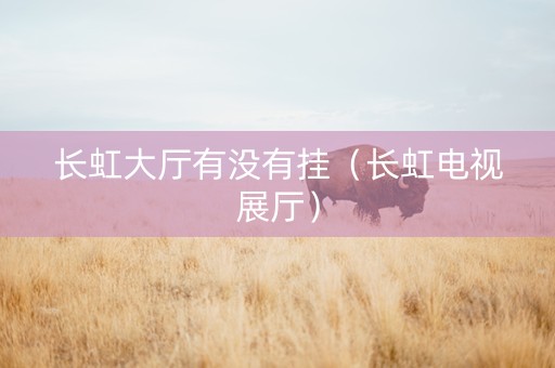 长虹大厅有没有挂（长虹电视展厅）