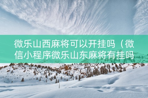 微乐山西麻将可以开挂吗（微信小程序微乐山东麻将有挂吗）