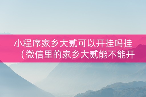 小程序家乡大贰可以开挂吗挂（微信里的家乡大贰能不能开挂）