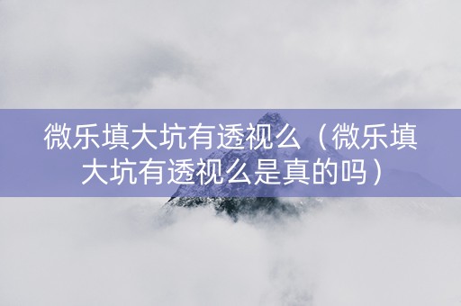 微乐填大坑有透视么（微乐填大坑有透视么是真的吗）