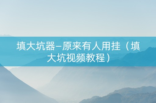 填大坑器—原来有人用挂（填大坑视频教程）