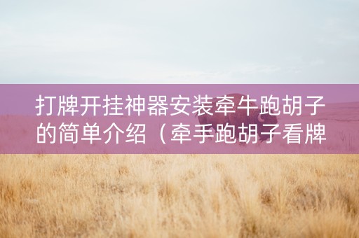 打牌开挂神器安装牵牛跑胡子的简单介绍（牵手跑胡子看牌器）