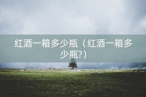 红酒一箱多少瓶（红酒一箱多少瓶?）