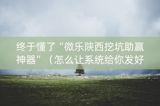 终于懂了“微乐陕西挖坑助赢神器”（怎么让系统给你发好牌)
