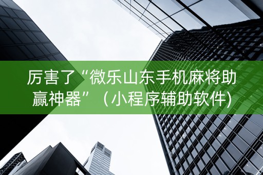 厉害了“微乐山东手机麻将助赢神器”（小程序辅助软件)