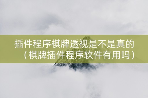 插件程序棋牌透视是不是真的（棋牌插件程序软件有用吗）
