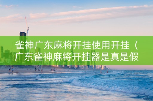 雀神广东麻将开挂使用开挂（广东雀神麻将开挂器是真是假）