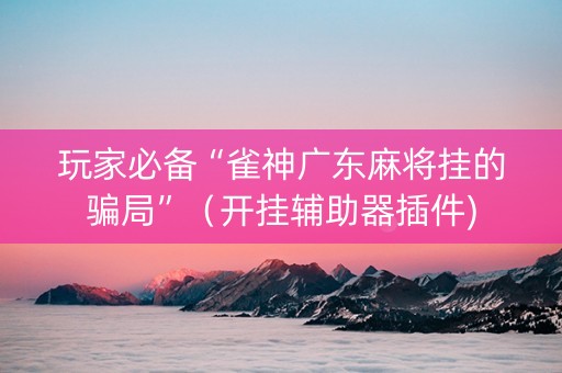 玩家必备“雀神广东麻将挂的骗局”（开挂辅助器插件)