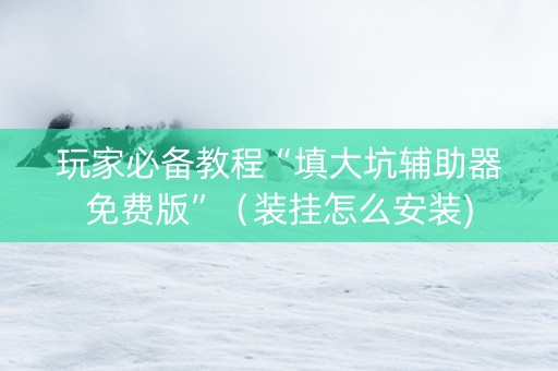玩家必备教程“填大坑辅助器免费版”（装挂怎么安装)