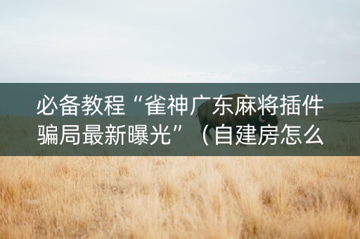 必备教程“雀神广东麻将插件骗局最新曝光”（自建房怎么赢)