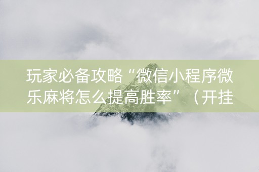 玩家必备攻略“微信小程序微乐麻将怎么提高胜率”（开挂神器下载)