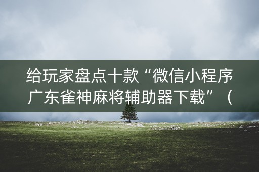 给玩家盘点十款“微信小程序广东雀神麻将辅助器下载”（开挂神器下载)