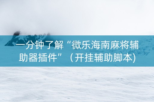 一分钟了解“微乐海南麻将辅助器插件”（开挂辅助脚本)