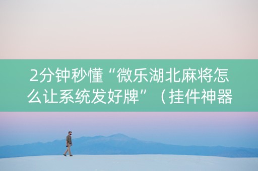 2分钟秒懂“微乐湖北麻将怎么让系统发好牌”（挂件神器)