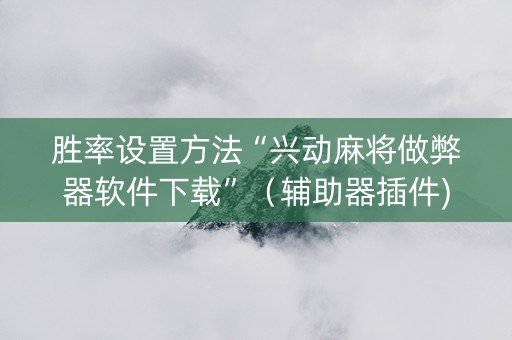 胜率设置方法“兴动麻将做弊器软件下载”（辅助器插件)