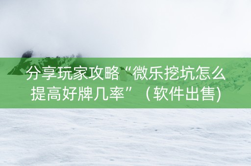 分享玩家攻略“微乐挖坑怎么提高好牌几率”（软件出售)
