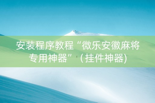 安装程序教程“微乐安徽麻将专用神器”（挂件神器)