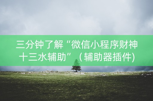 三分钟了解“微信小程序财神十三水辅助”（辅助器插件)
