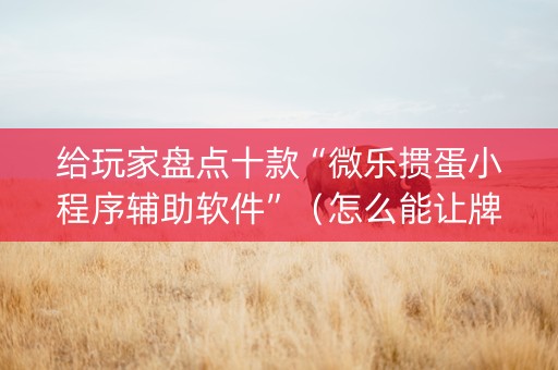 给玩家盘点十款“微乐掼蛋小程序辅助软件”（怎么能让牌好一点)