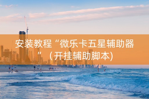 安装教程“微乐卡五星辅助器”（开挂辅助脚本)