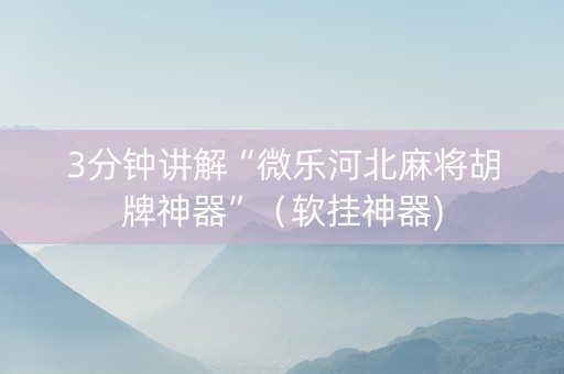 3分钟讲解“微乐河北麻将胡牌神器”（软挂神器)