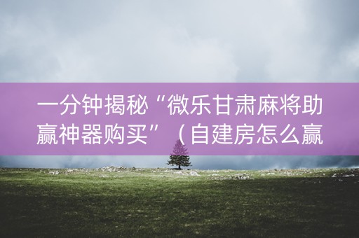 一分钟揭秘“微乐甘肃麻将助赢神器购买”（自建房怎么赢)