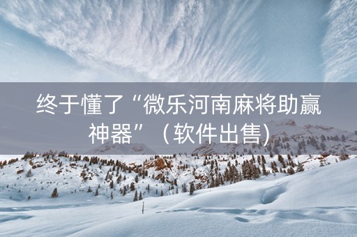 终于懂了“微乐河南麻将助赢神器”（软件出售)