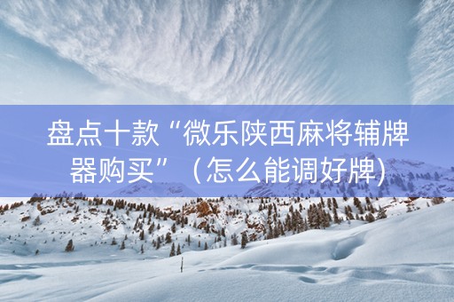 盘点十款“微乐陕西麻将辅牌器购买”（怎么能调好牌)