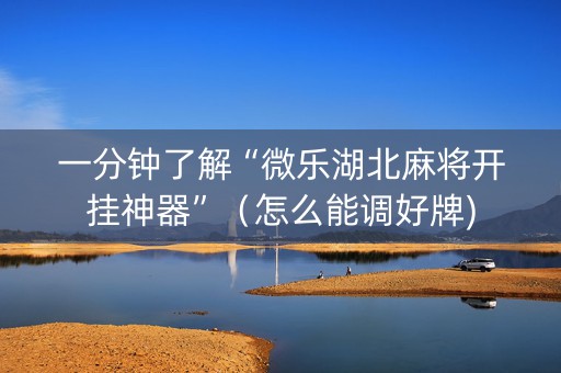 一分钟了解“微乐湖北麻将开挂神器”（怎么能调好牌)