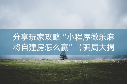 分享玩家攻略“小程序微乐麻将自建房怎么赢”（骗局大揭秘)