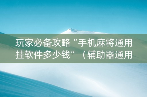 玩家必备攻略“手机麻将通用挂软件多少钱”（辅助器通用版)