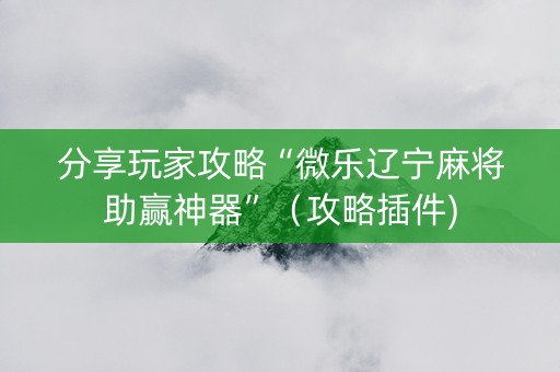 分享玩家攻略“微乐辽宁麻将助赢神器”（攻略插件)
