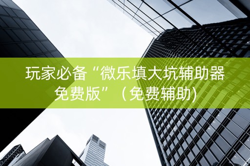 玩家必备“微乐填大坑辅助器免费版”（免费辅助)