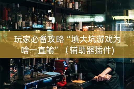 玩家必备攻略“填大坑游戏为啥一直输”（辅助器插件)