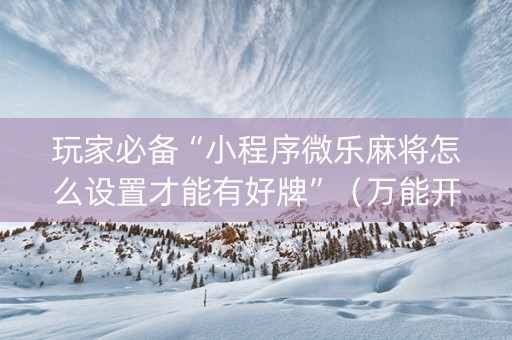 玩家必备“小程序微乐麻将怎么设置才能有好牌”（万能开挂器)