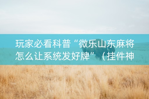 玩家必看科普“微乐山东麻将怎么让系统发好牌”（挂件神器)