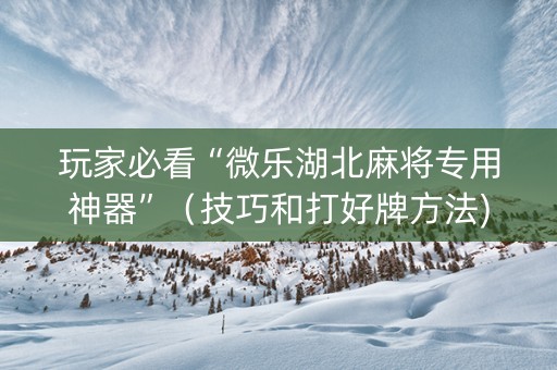 玩家必看“微乐湖北麻将专用神器”（技巧和打好牌方法)