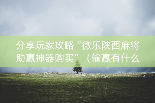 分享玩家攻略“微乐陕西麻将助赢神器购买”（输赢有什么规律)