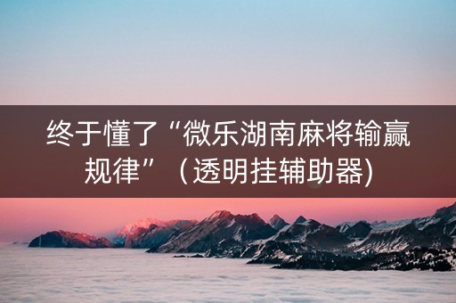 终于懂了“微乐湖南麻将输赢规律”（透明挂辅助器)