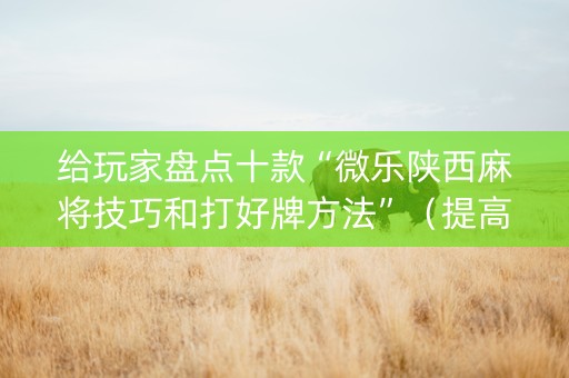 给玩家盘点十款“微乐陕西麻将技巧和打好牌方法”（提高胜率软件)