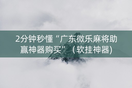 2分钟秒懂“广东微乐麻将助赢神器购买”（软挂神器)