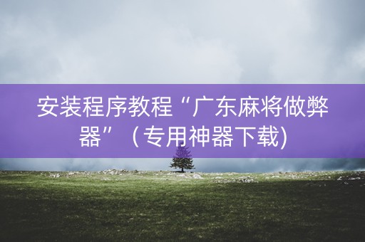 安装程序教程“广东麻将做弊器”（专用神器下载)